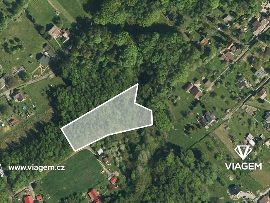 Prodej lesa 4764 m²